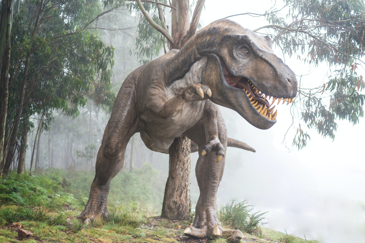 Има ли нови тиранозаври, кои са Стан и Питър и колко струва скелет на динозавър?