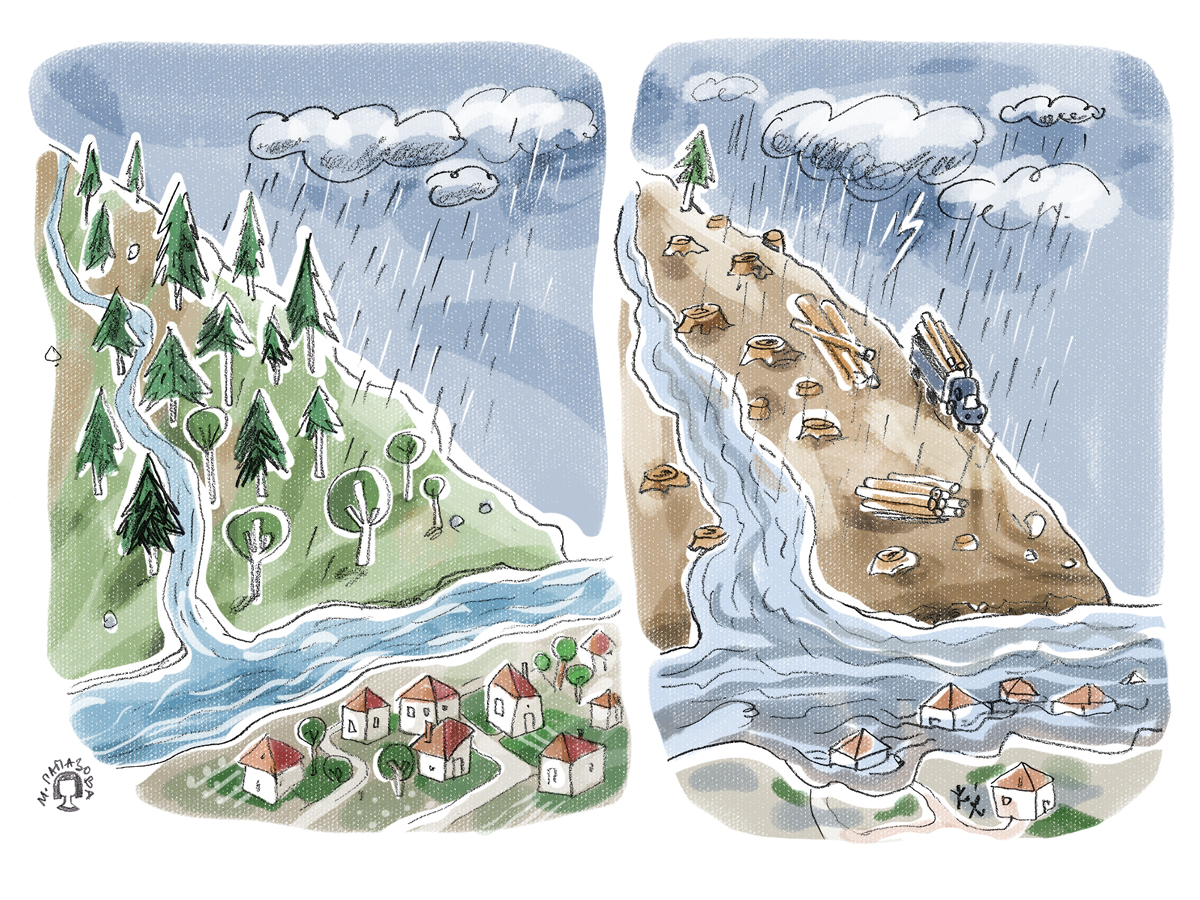 Как природата помага да спрем наводнения?