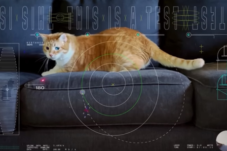 От дълбините на Космоса пристигна клипче с играеща котка